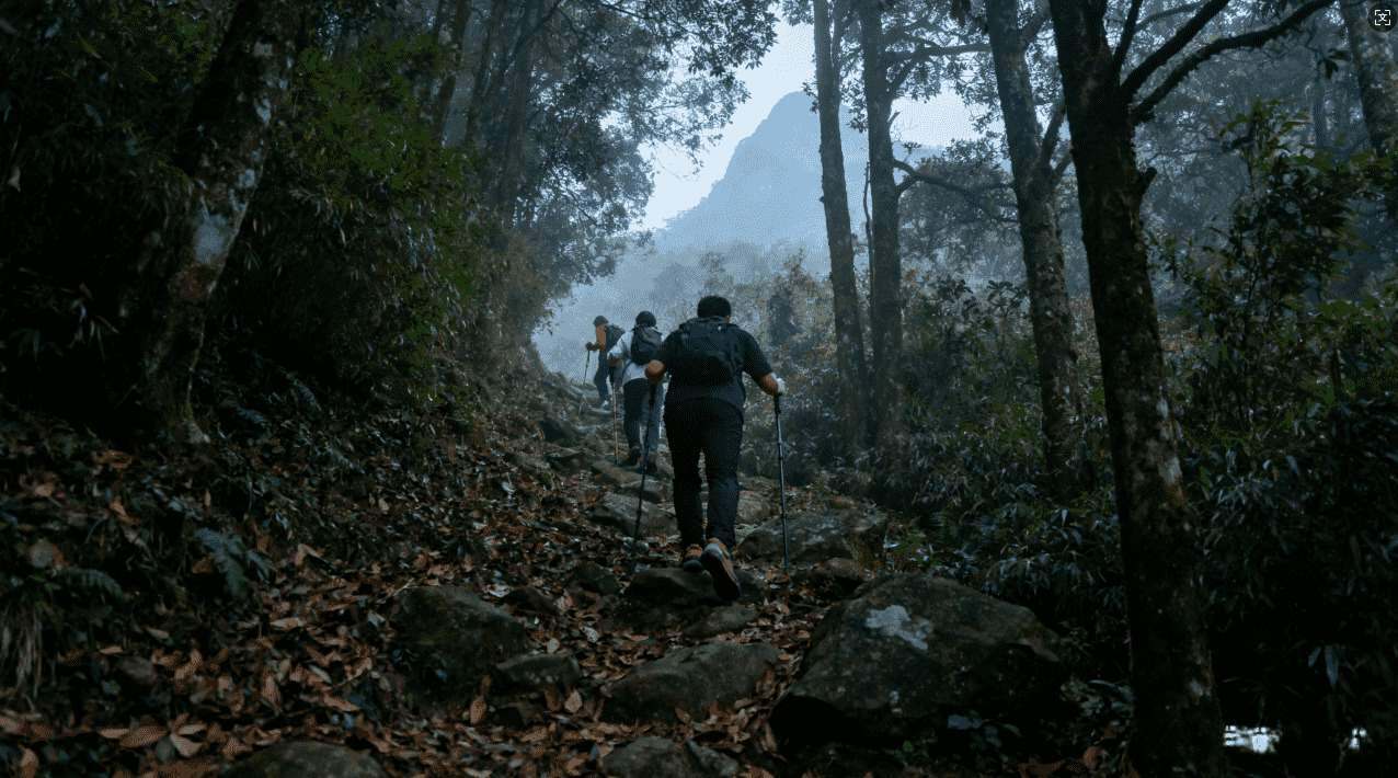老王加速器加速遇到问题时的详细操作步骤